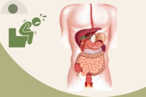 WhatsApp Image 2025-11-11 at 12.08.33 PM(1)